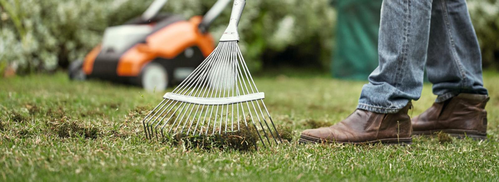 Un homme qui ramasse les résidus d'herbe après la scarification, à l'aide d'un balai à gazon