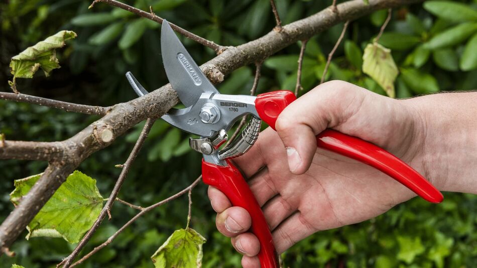 Sécateur de jardin à main de 19cm combi pro