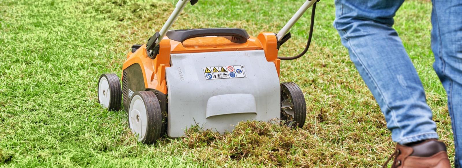 Pourquoi et comment scarifier votre gazon ?